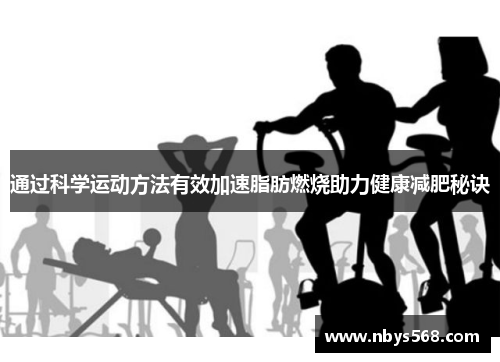 通过科学运动方法有效加速脂肪燃烧助力健康减肥秘诀